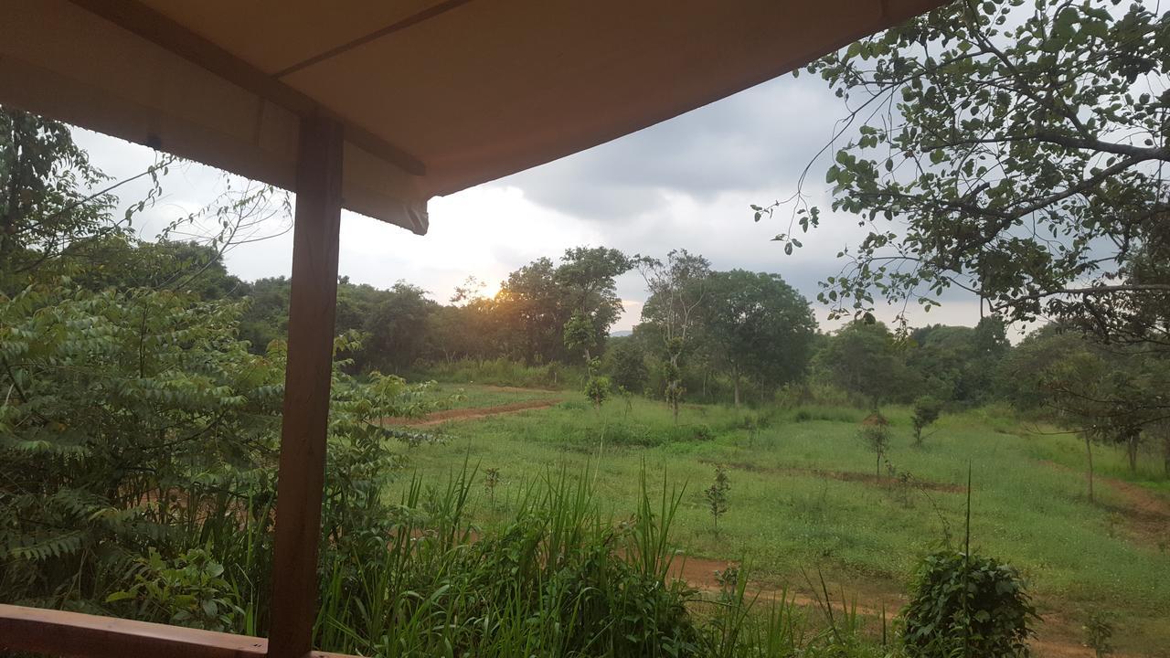 Asharo Sigiriya Villa Exterior foto