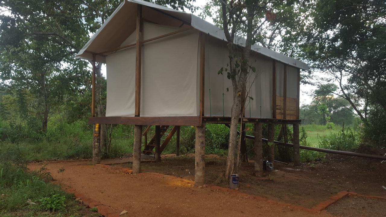 Asharo Sigiriya Villa Exterior foto